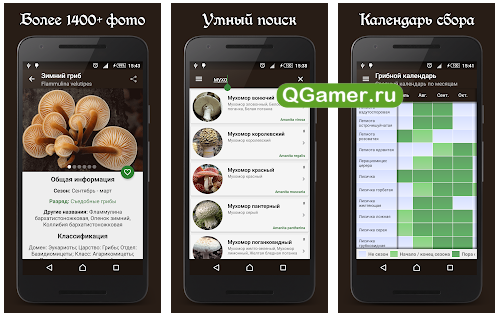 Лучшие приложения на Android для заядлых грибников