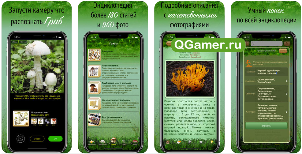 ТОП-5 полезных приложений для грибников для iPhone
