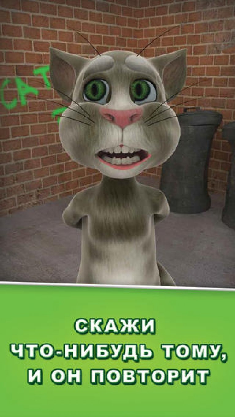 Зовут том. Talking Tom 2010. Игра talking Tom Cat (2010) антроил. Talking Tom Cat 2013. Talking Tom Cat 2010 Android.