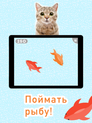 Программа для кошек android